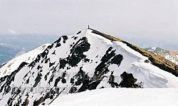Вершина Попа Мармароського. Вигляд з півночі