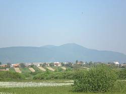 "Долина Нарцисів" на фоні села Кіреші