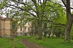 Палац Ржевуських-Лянцкоронських