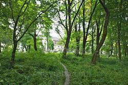 Усадебный парк в Большевцах