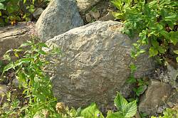 Камни с узорами