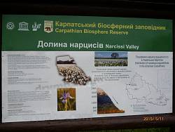 Долина Нарциссов. Информационный стенд