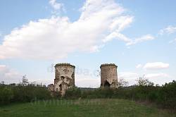 Замок у Ниркові. Вид на башти із заходу
