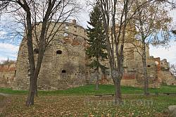 Бережанський замок