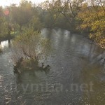 Речка Серет в Микулинцах