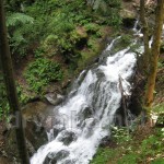 Водопад Шипот у подножия Боржавы