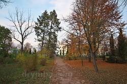 Білокриницький парк восени