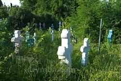 Общий вид кладбища