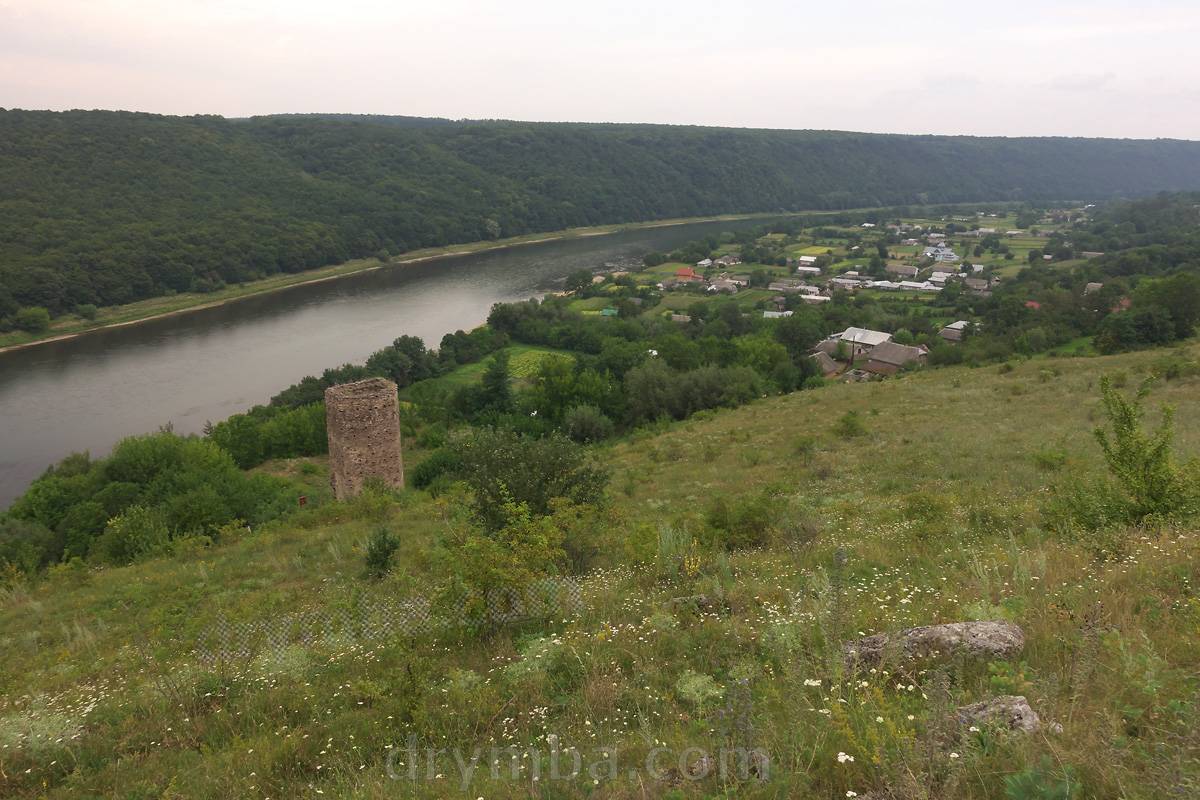 Панорама села Раковець із замком
