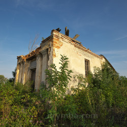 Скала-Подільська. Руїни каплиці на старому цвинтарі