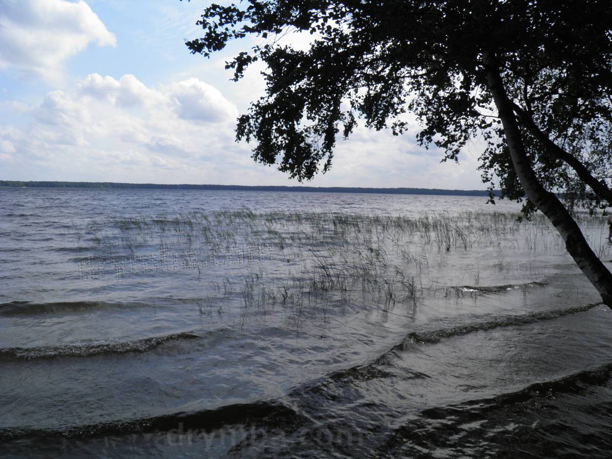Біле озеро поблизу села Рудка на Рівненщині
