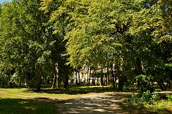 Парк маєтку Козібродських