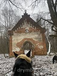 Состояние руин Гутисского костела в 2023 году