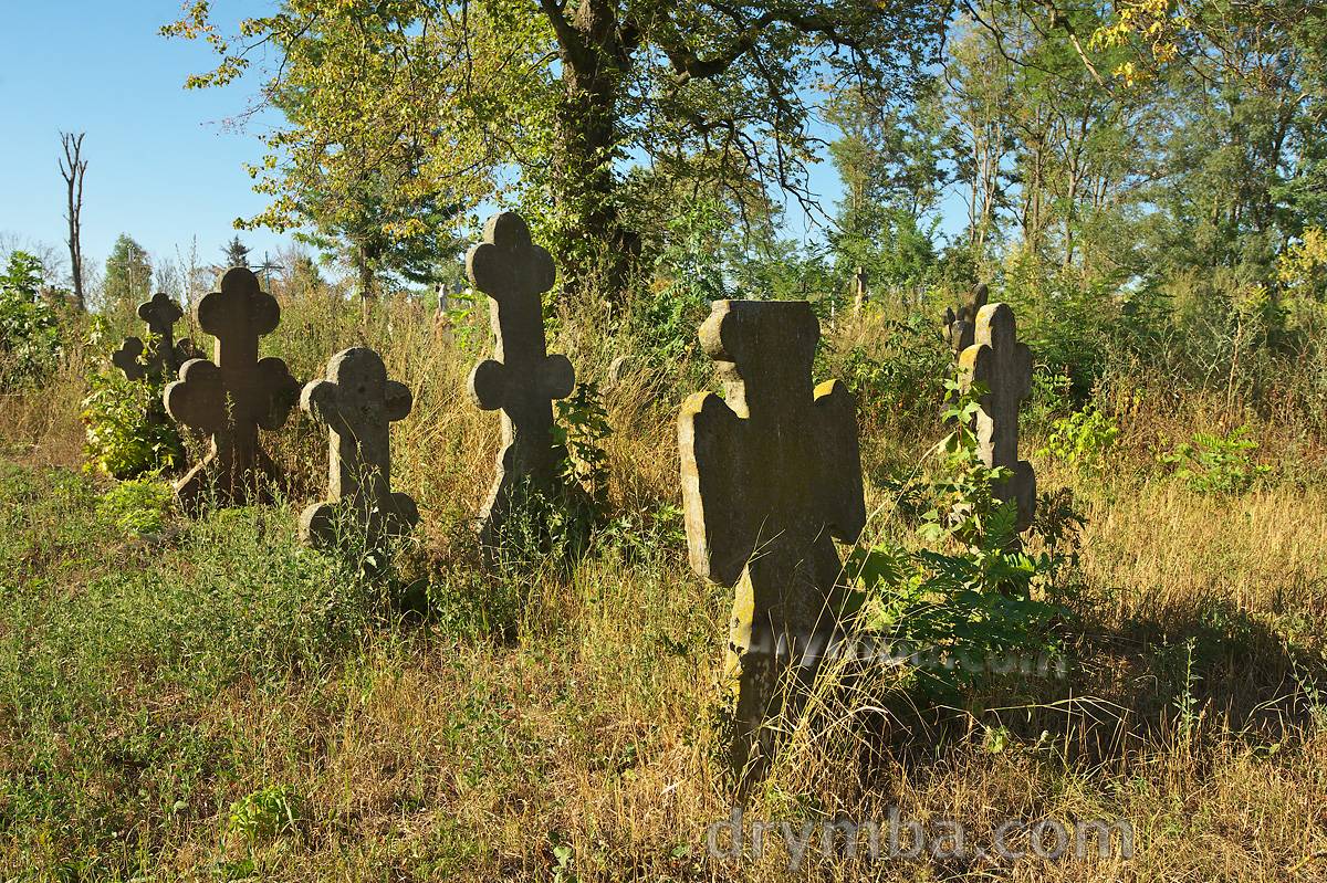 Довге. Група давніх хрестів на цвинтарі